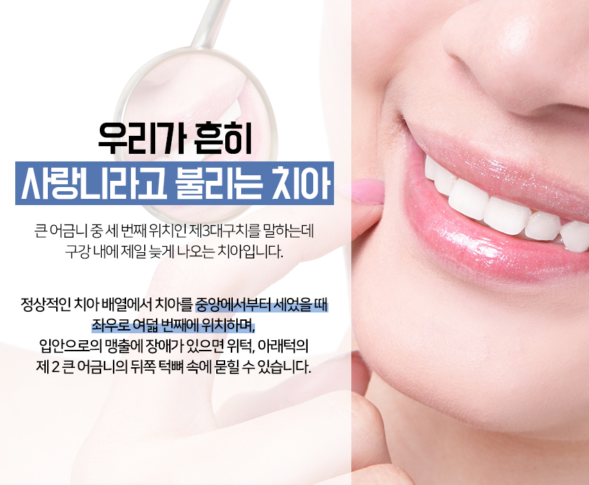 참사랑치과의원 이미지