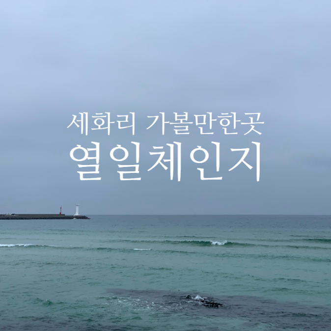 세화정형외과 이미지