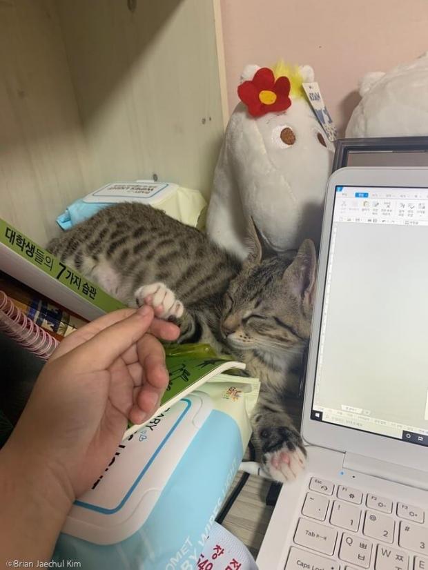 천사마트 이미지