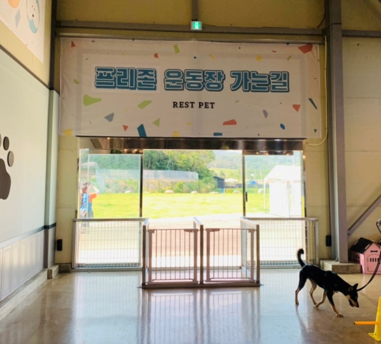레스트펫 이미지
