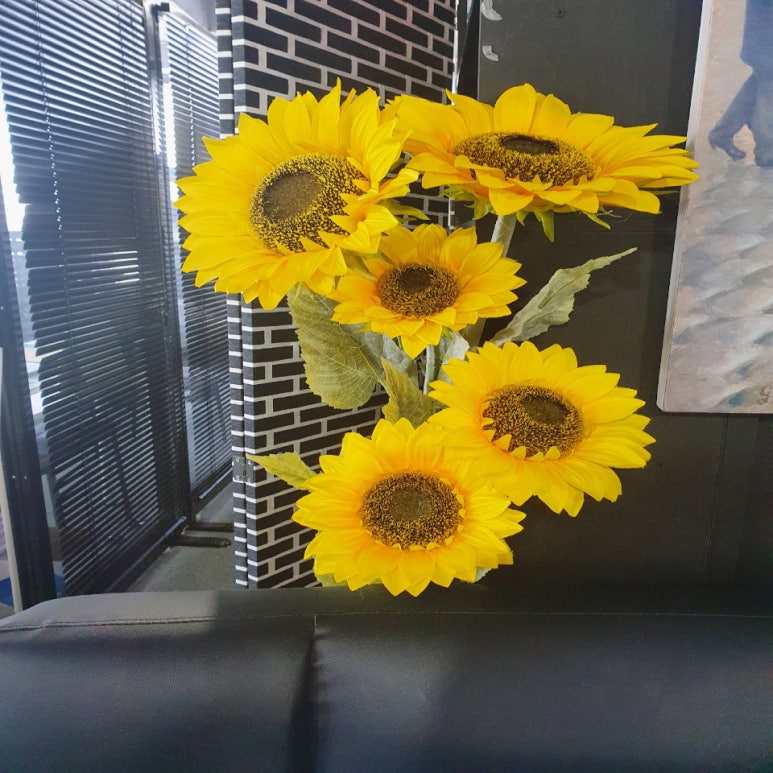 김소정변호사법률사무소 이미지
