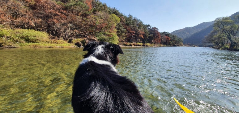 봉황자연휴양림 이미지