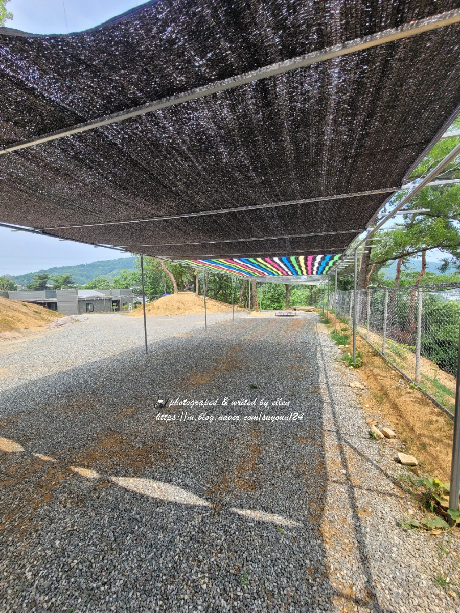 세재골농원 이미지