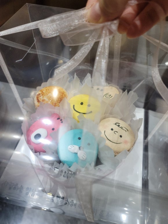 라이프소스 이미지