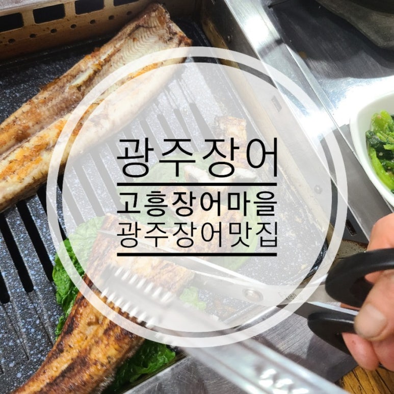 고흥장어마을 이미지