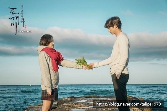 스테이엘로 이미지