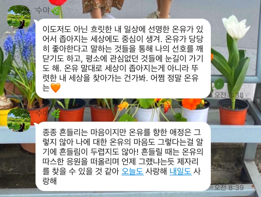 킨다릴리 이미지