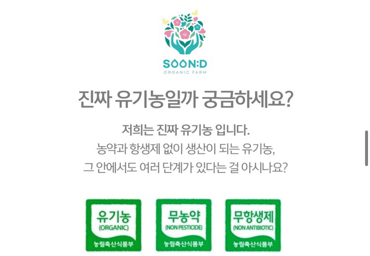 보리베리 이미지