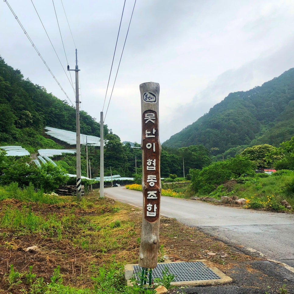 영월군농산물가공협동조합 이미지