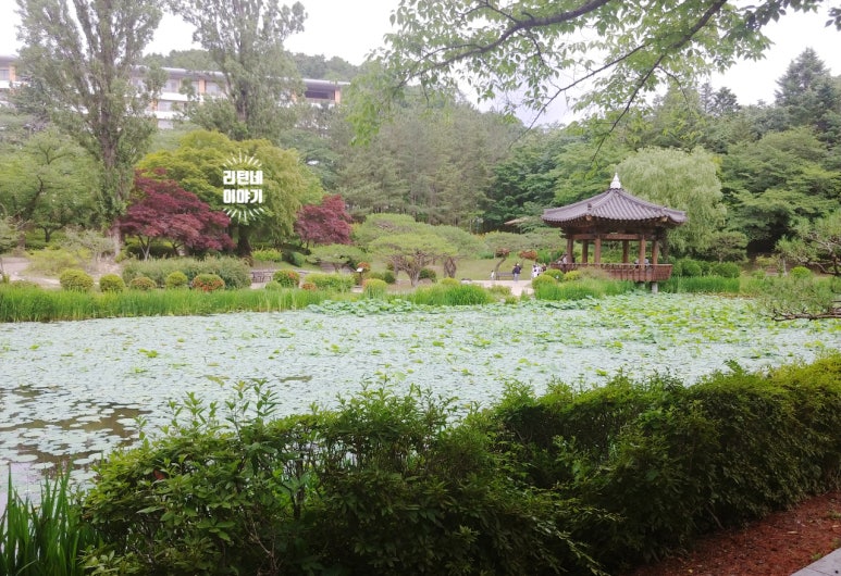 호반정스쿠터 이미지