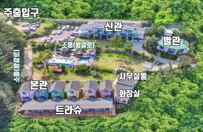 파트라슈 이미지