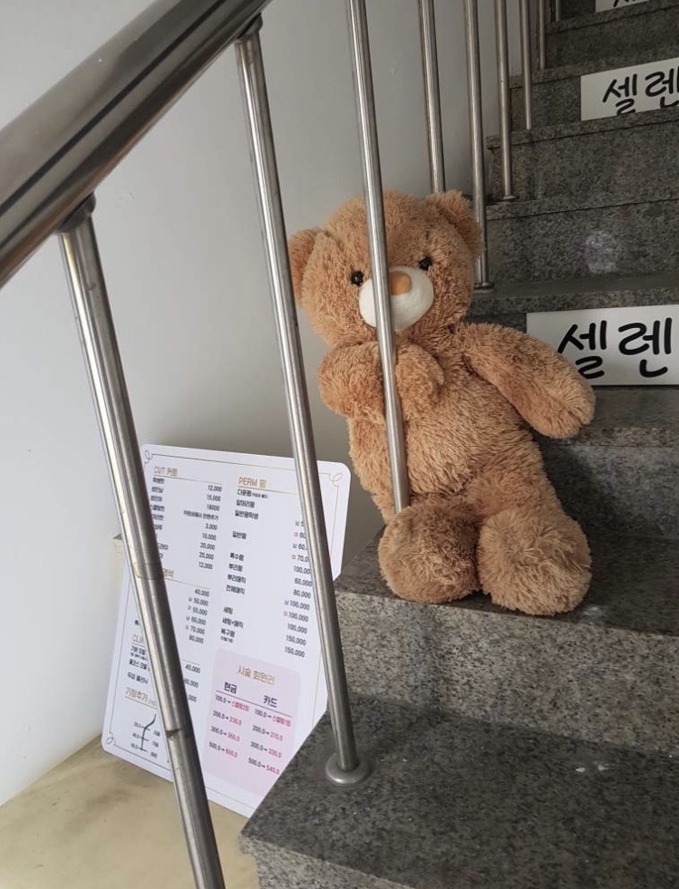 셀렌헤어 이미지