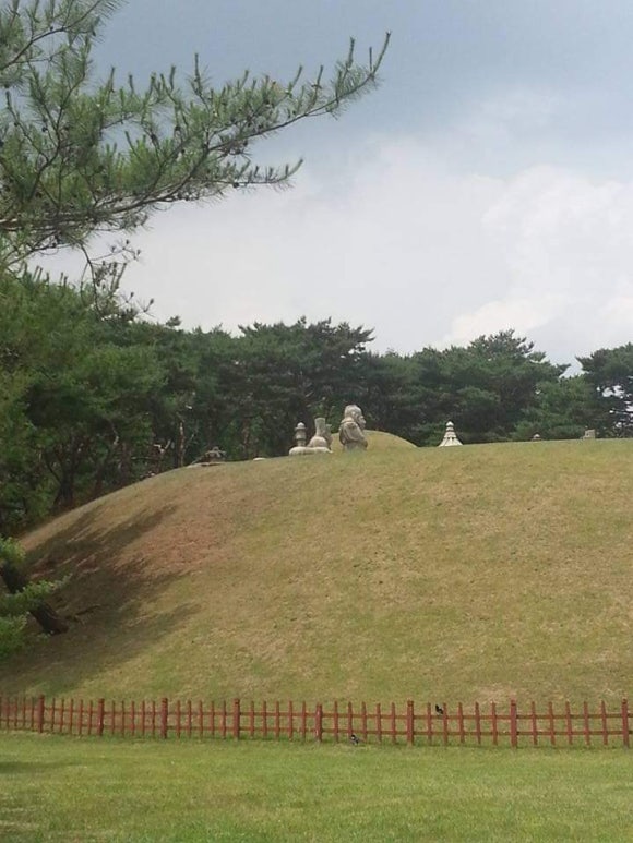 선릉기체조 이미지