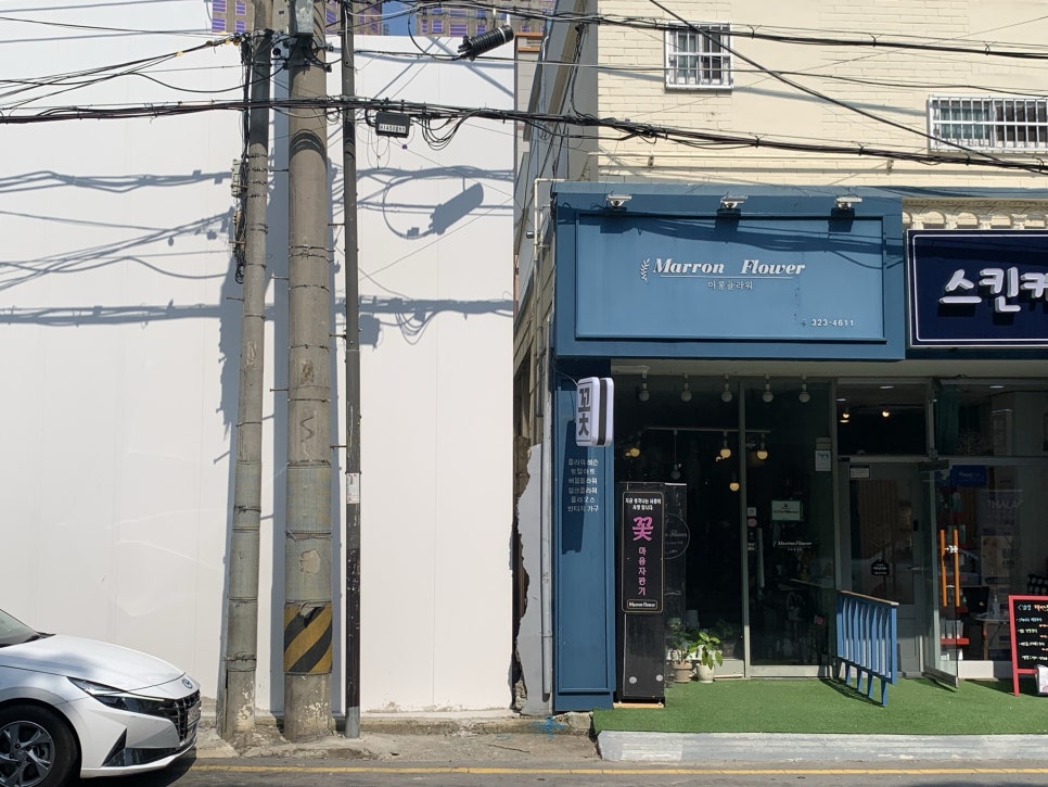 마롱플라워 이미지