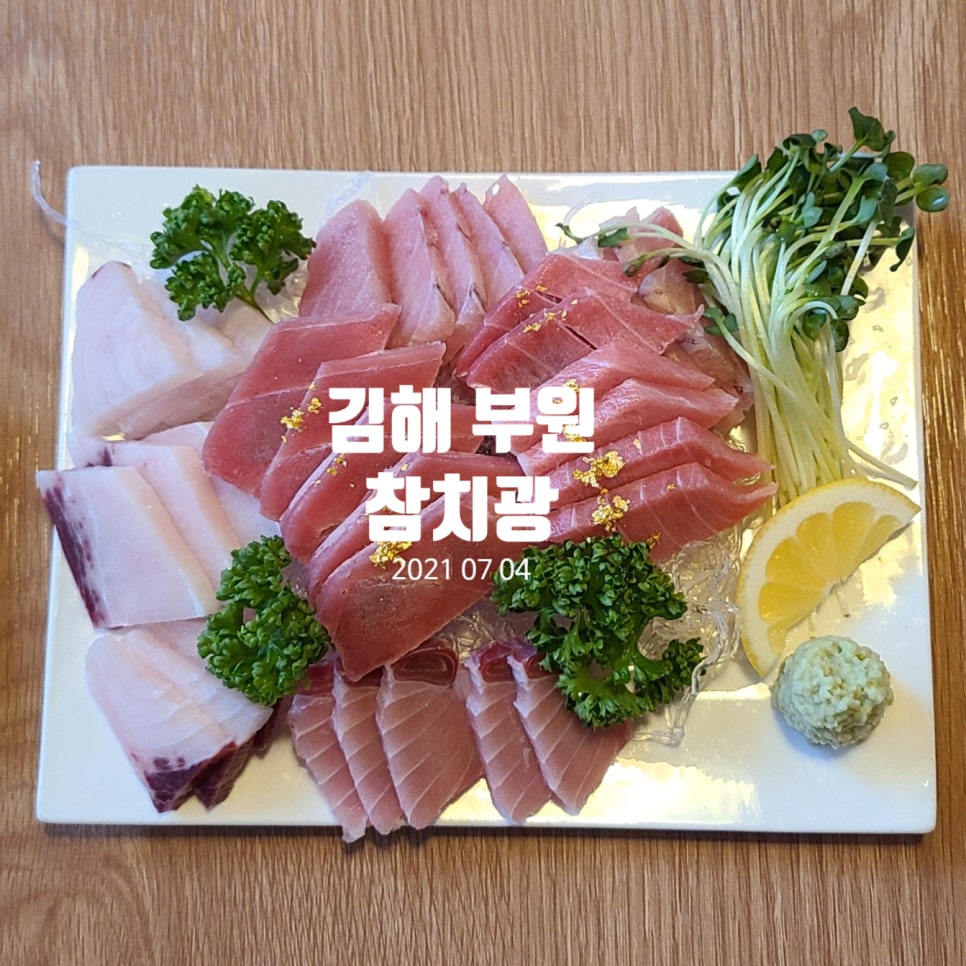 참치광 이미지