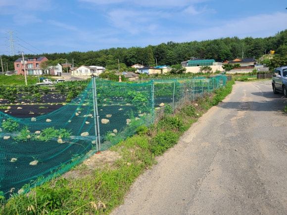 오어사부동산 이미지