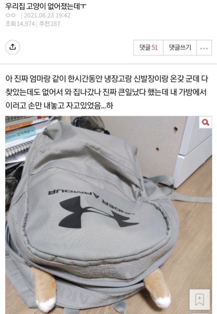 유이쯔 이미지