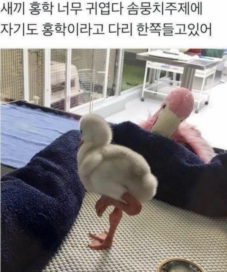 유이쯔 이미지