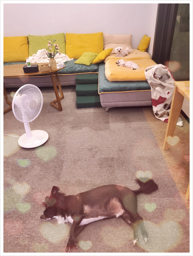청 하우스 이미지