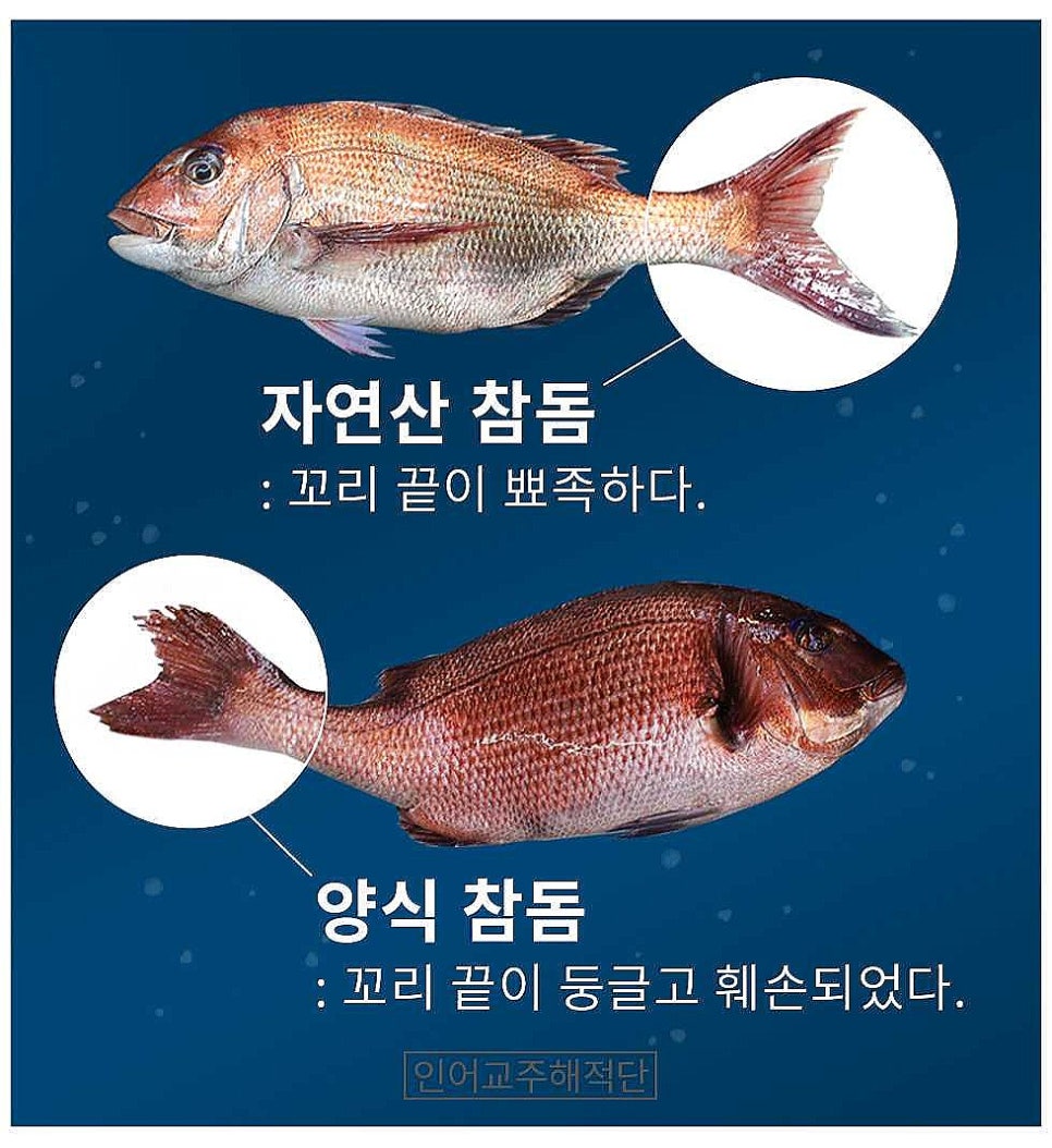 장흥상회 이미지