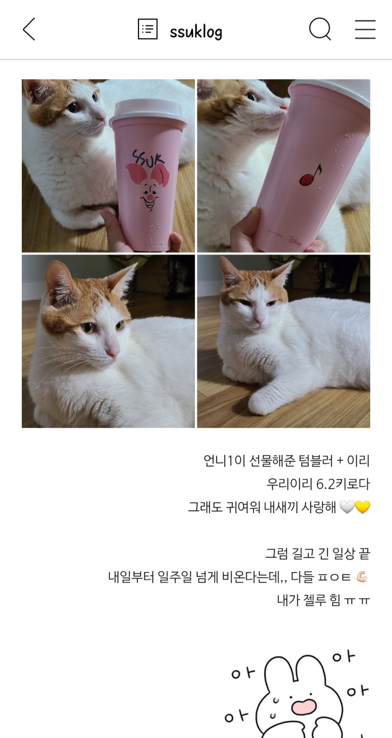 스시올리브 이미지