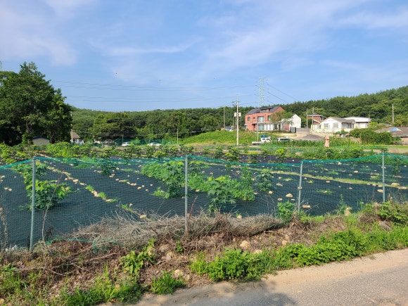 오어사부동산 이미지