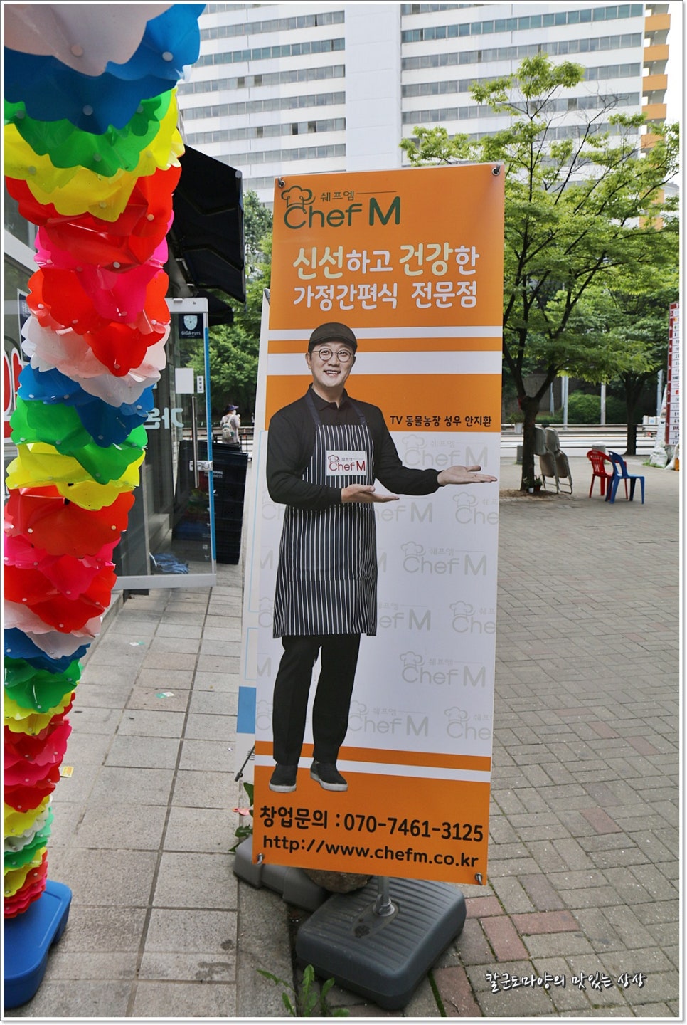 쉐프엠고양 이미지