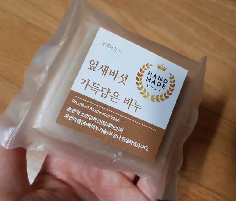 봄내다살이 이미지