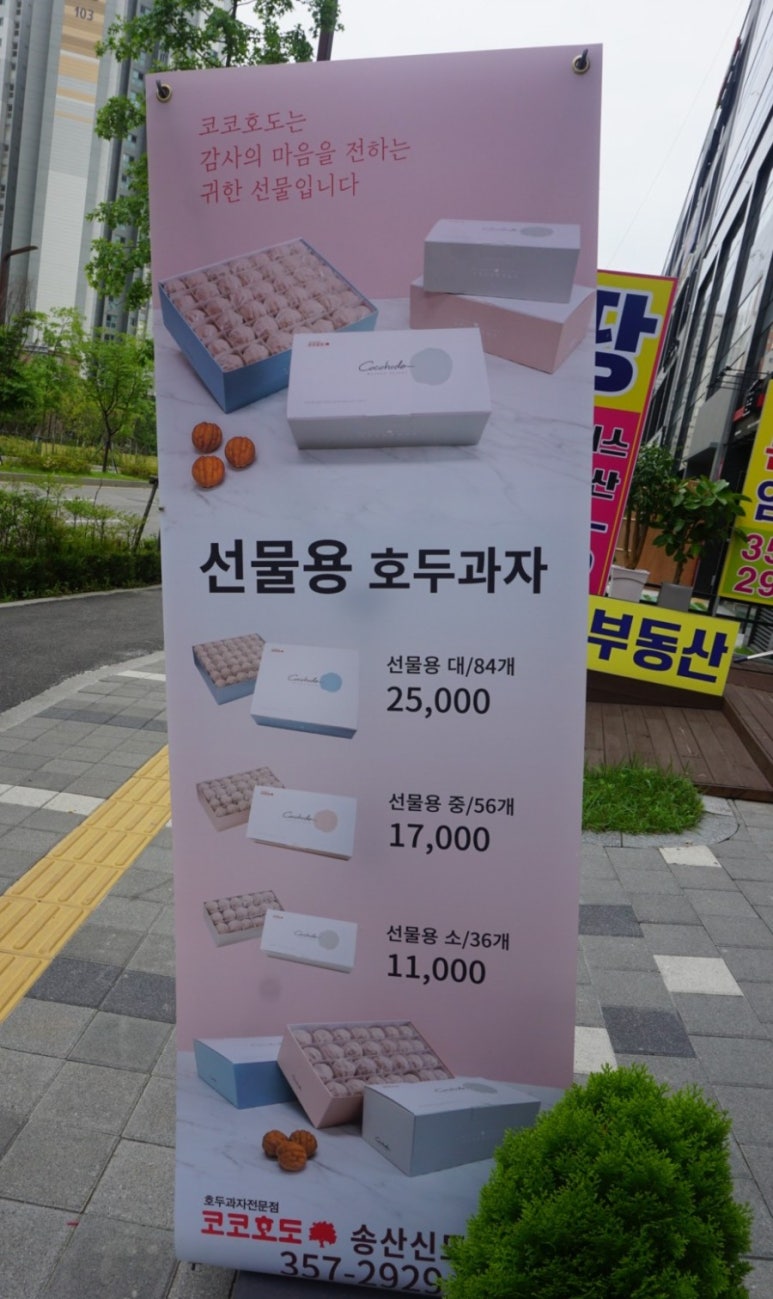 코코호도안산 이미지