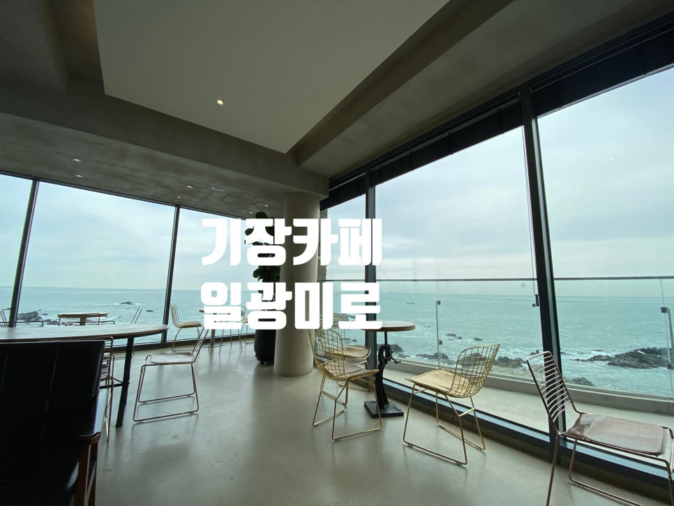 일광행정사사무소 이미지