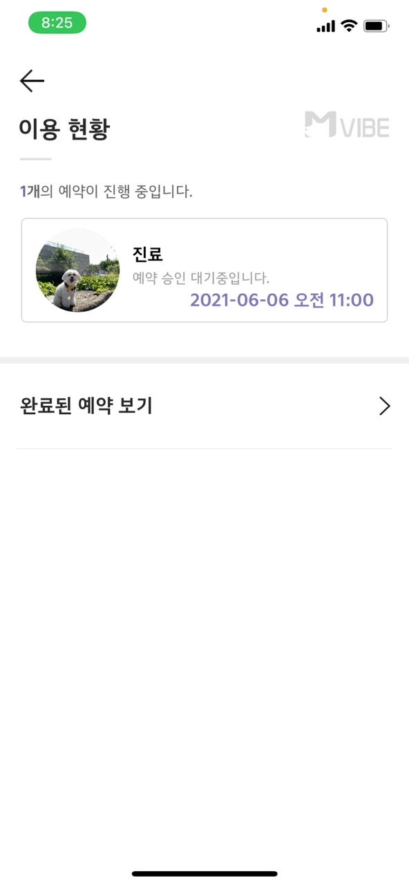 쁨이네 이미지