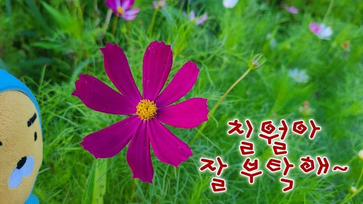 하모니임대 이미지