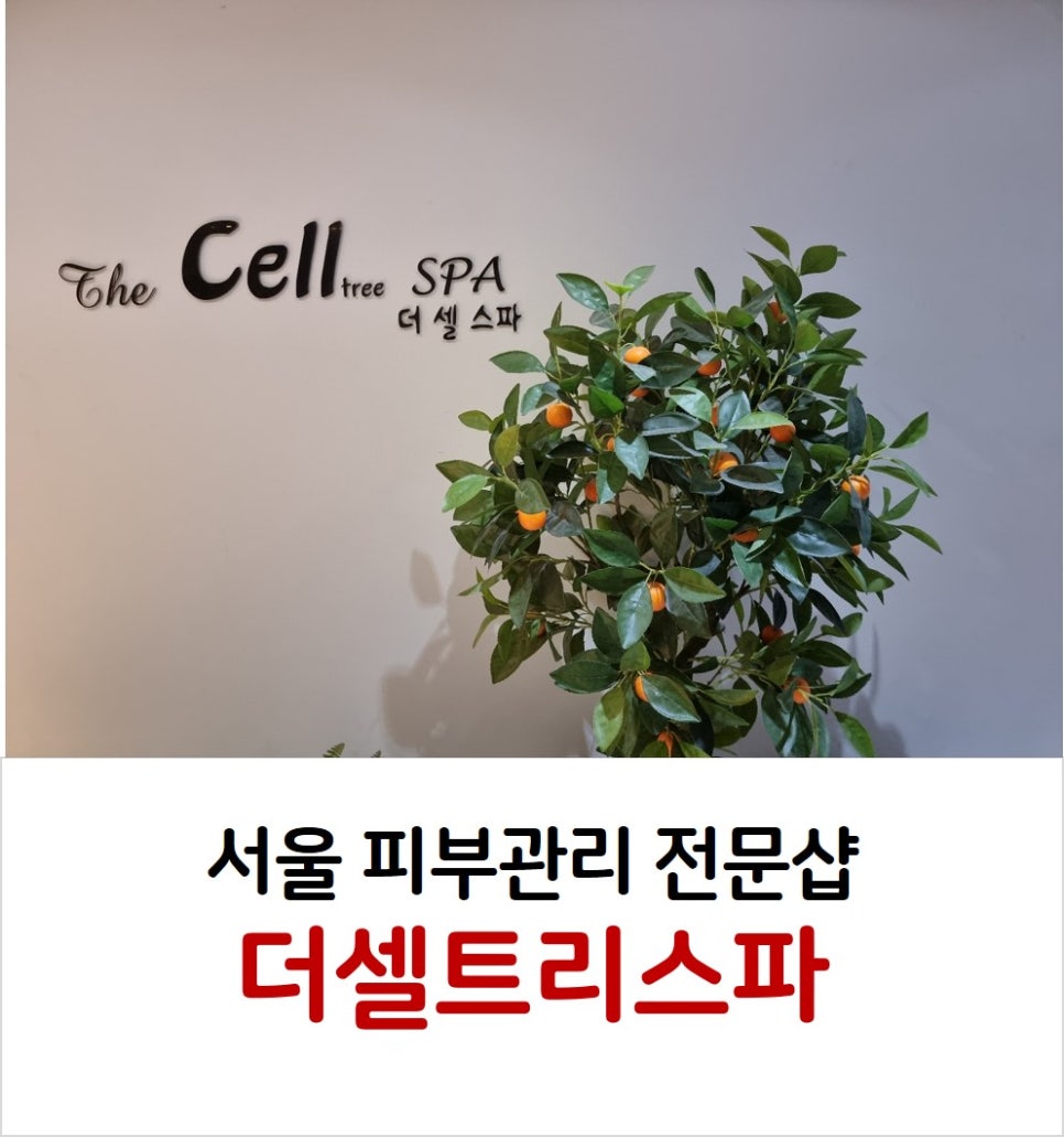 더셀트리스파 이미지
