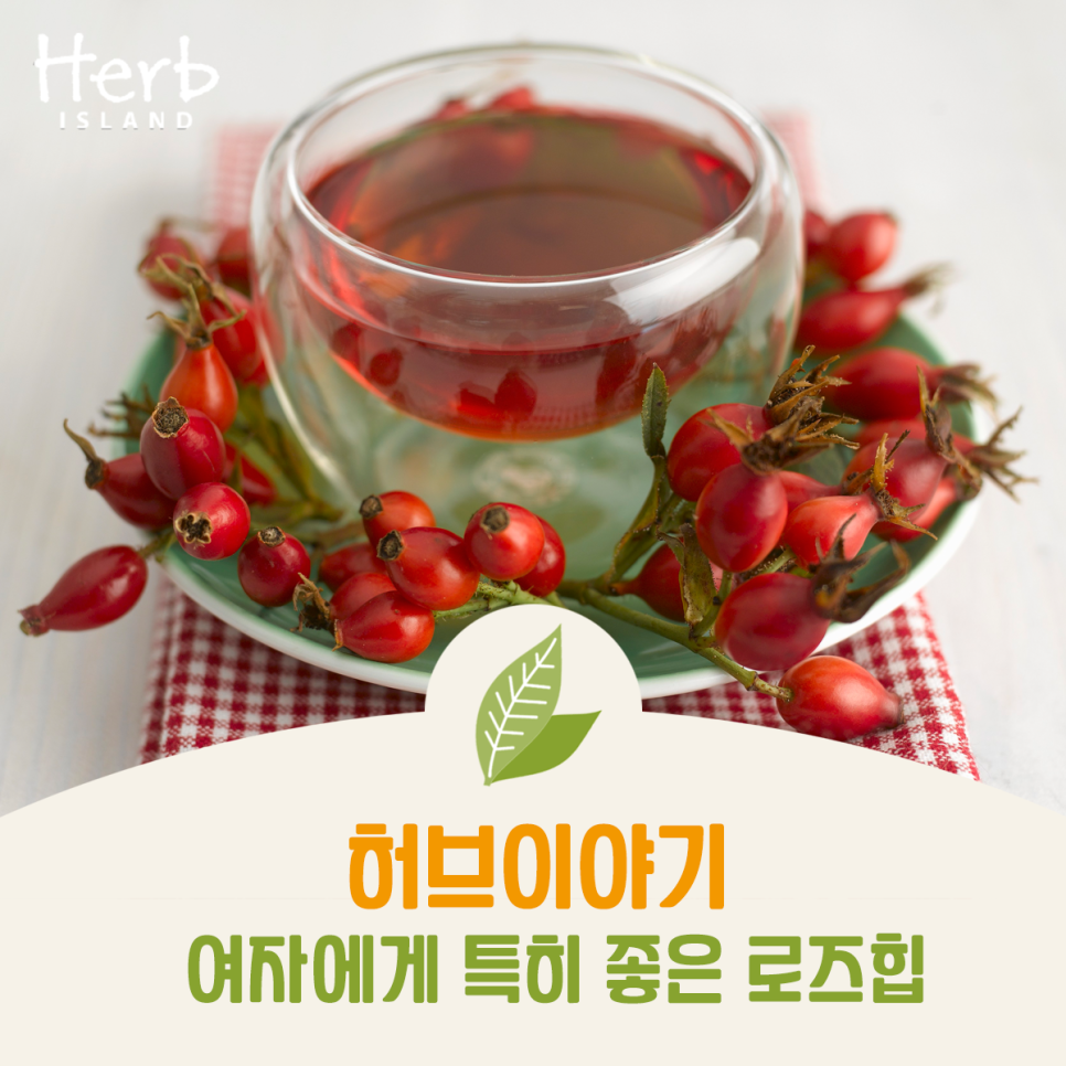 허브이야기 이미지