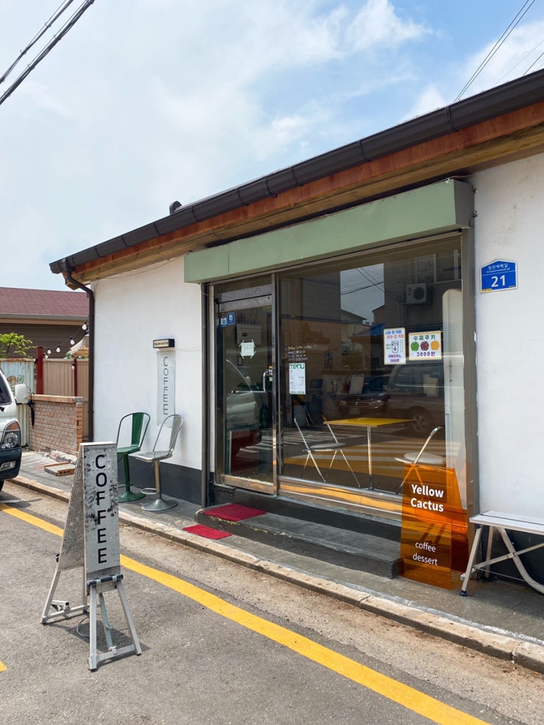 옐로우캑터스yellowcactus 이미지