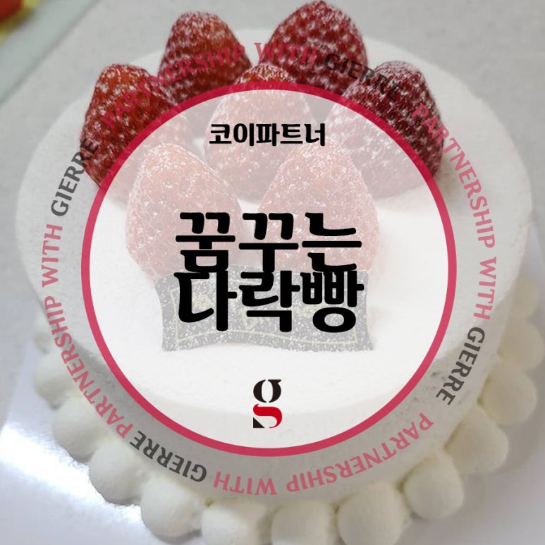 꿈꾸는빵 이미지