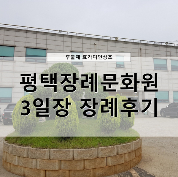 효가디언 이미지