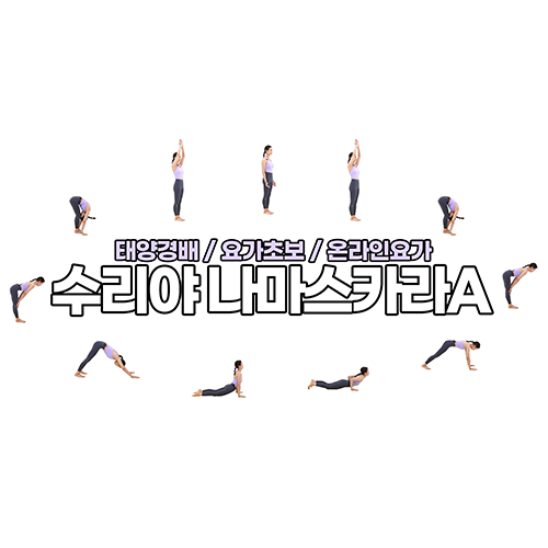 써니요가 이미지