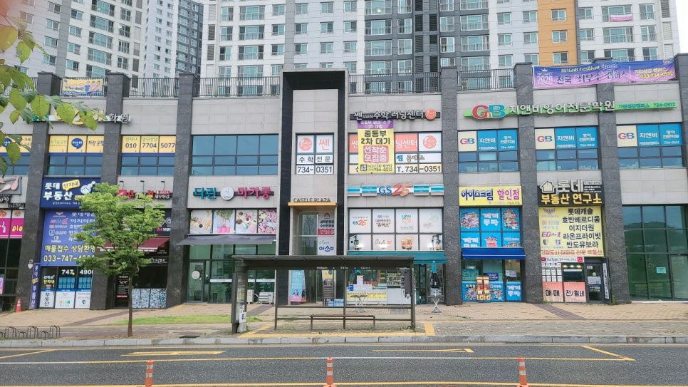 다린마카롱 이미지