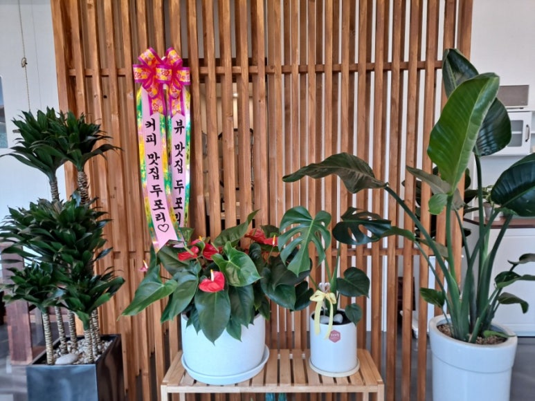 카페두포리 이미지