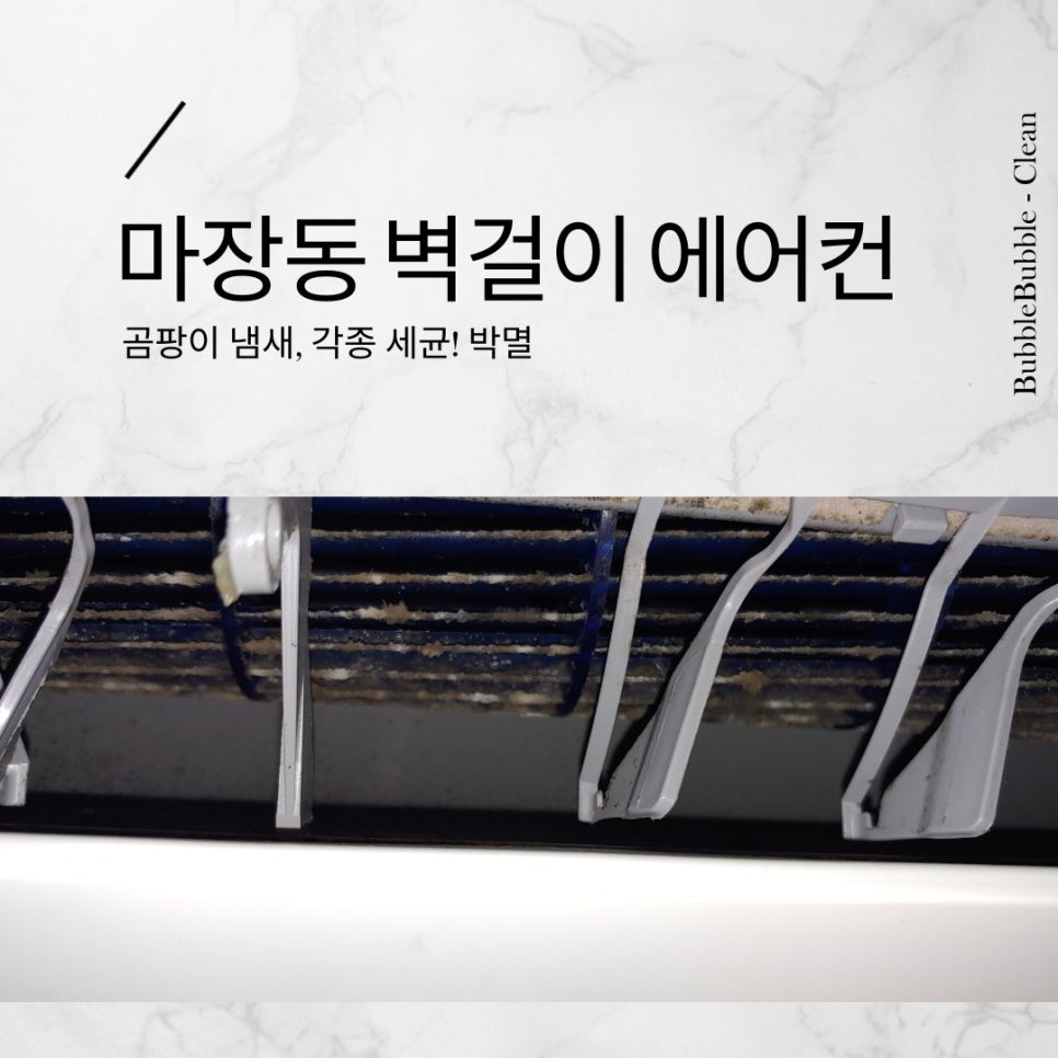 버블크린 이미지