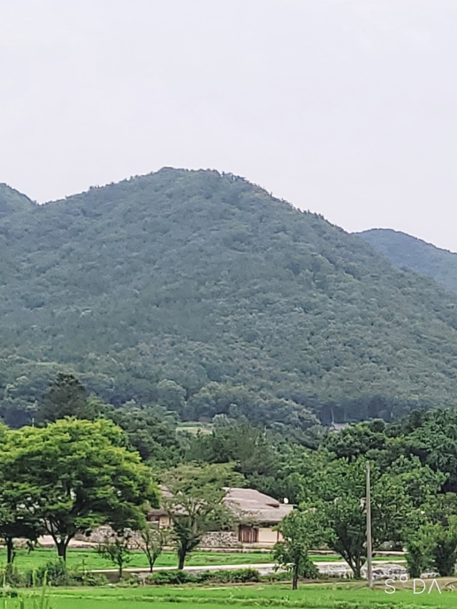 나의살던고향민박 이미지