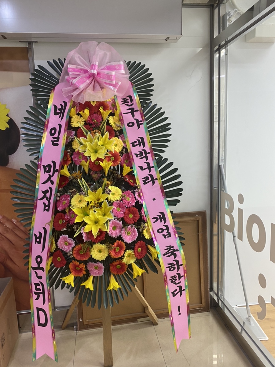 비온디네일 이미지