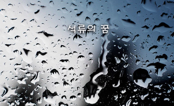 와인킷코리아 이미지