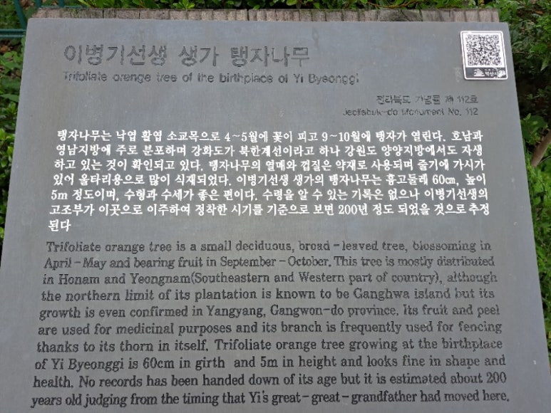 나무가람 이미지