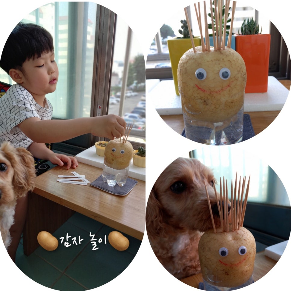 기쁨 예능어린이집 이미지