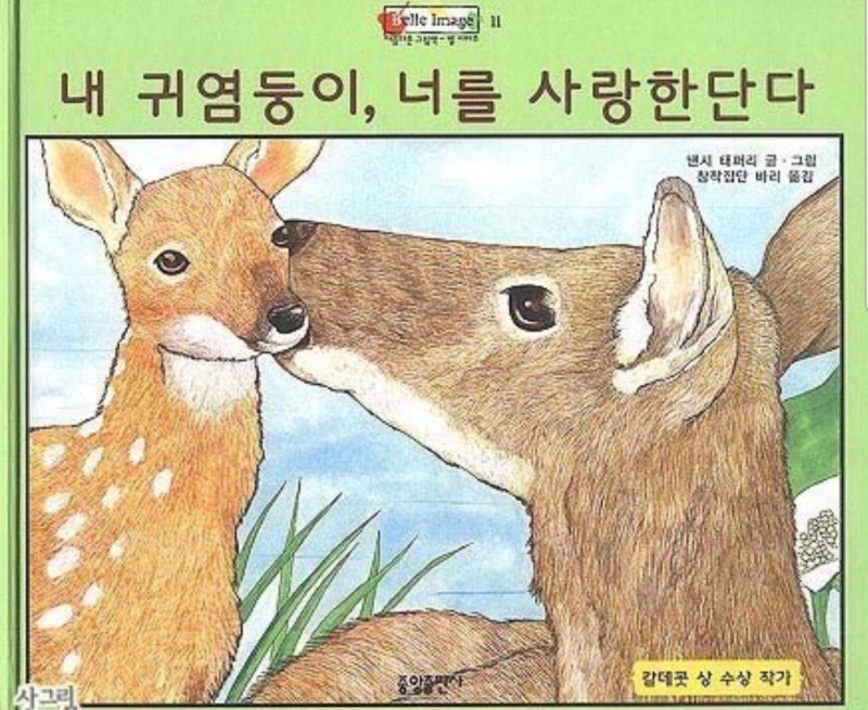피자나라치킨공주대구 이미지