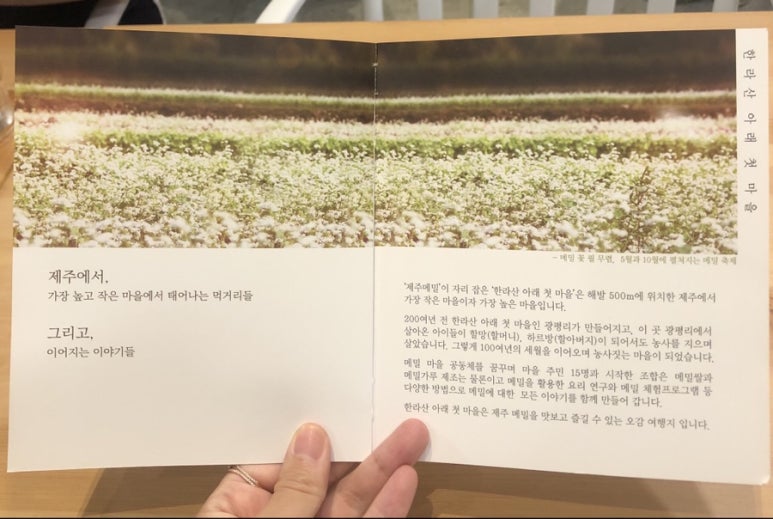 곱다시제주 이미지