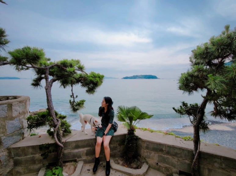 몽도리(MONGDORI) 이미지