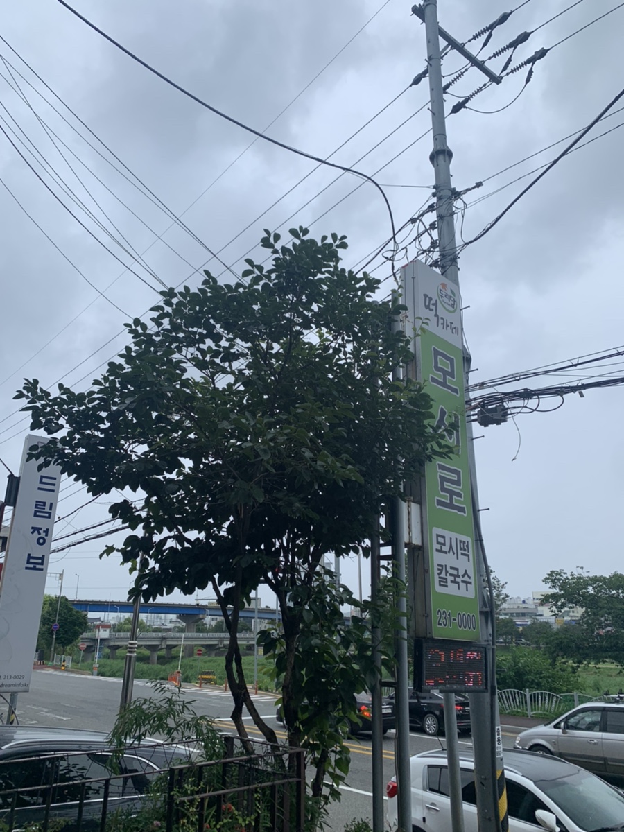 모시로떡카페 이미지